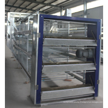 Chine Équipement de Poutlry de cage de poulet de gril de machines agricoles de type H